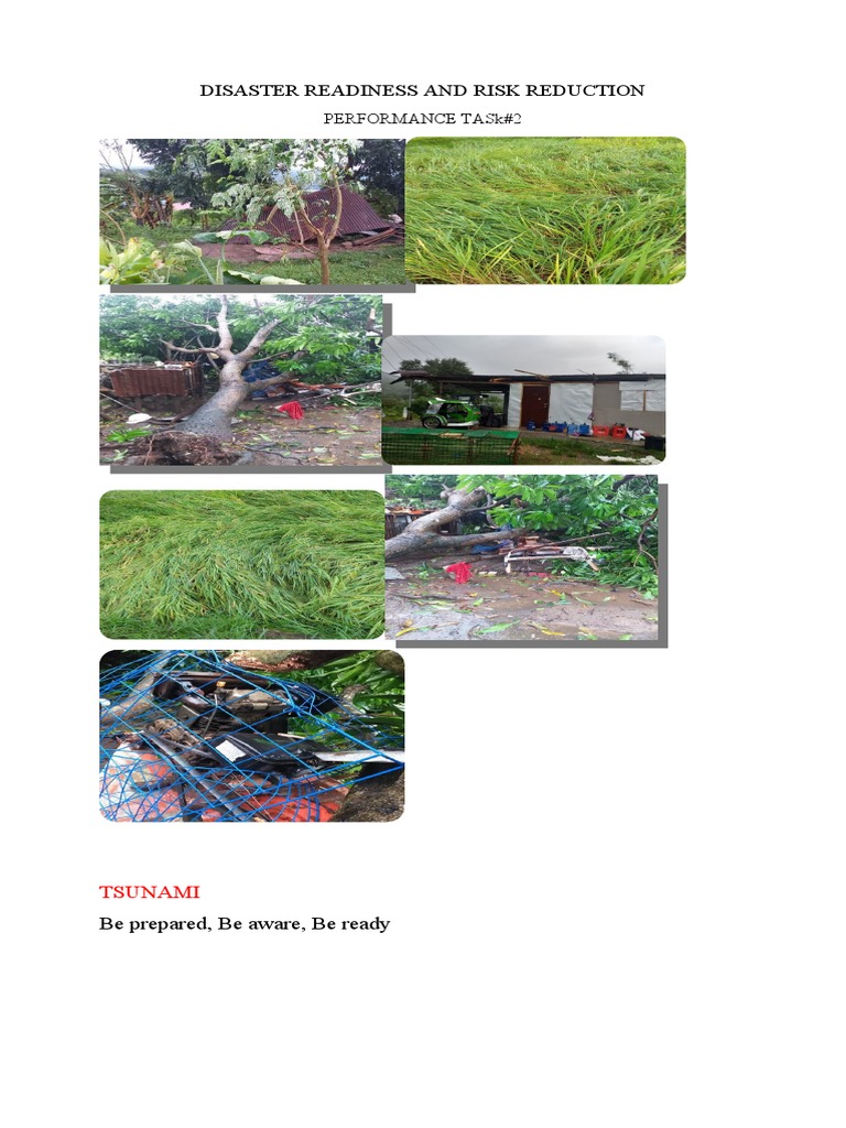 Disaster Readiness and Risk Reduction: Tsunami | PDF