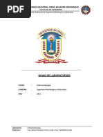 Guia Laboratorio N°01-Hidrometalurgia