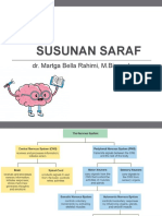 Susunan Saraf: Dr. Martga Bella Rahimi, M.Biomed