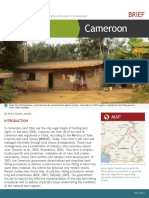 Cameroon: Brief