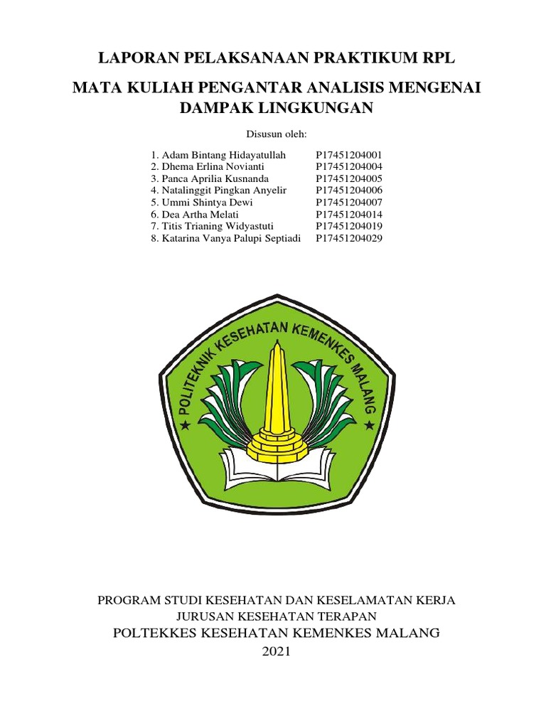 Laporan Praktikum RPL dan Dampak Lingkungan | PDF | Seni