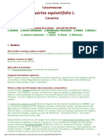 Casuarina Equisetifolia - Ficha Informativa