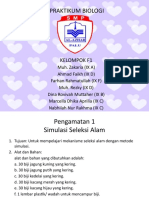 PPT PENELITIAN F1