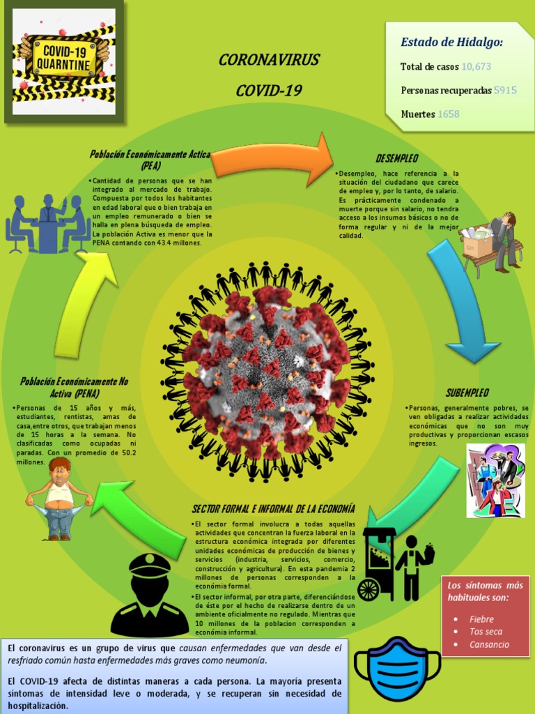 Impacto del COVID-19 en el Empleo | PDF | Desempleo | Ciencias sociales