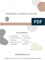 Kelompok 1 Produksi Kelor