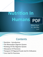 Nutrition in Humans: By: Khizar Hayat & Ade Bhai 10-A