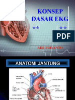 Dasar Ekg-1