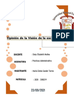 Analisis Sobre La Vision