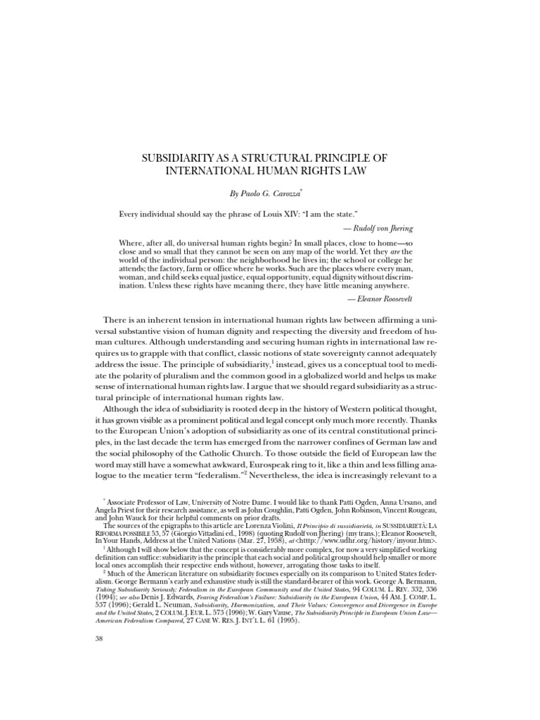 Principle of subsidiarity in local government picture