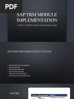 Sap TRM Module Implementation: Control Working Capital and Financial Risk