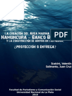 La Creación Del Área Marina Protegida Namuncurá
