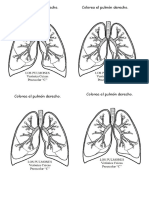 LOS PULMONES