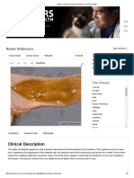 Ed For Pet: Clinical Description
