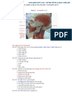 Trắc Nghiệm Giải Phẫu Từng Chương Có Đáp Án
