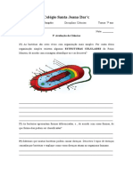 Prova 2021 7 Ano