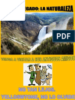 Cartel Yellowstone