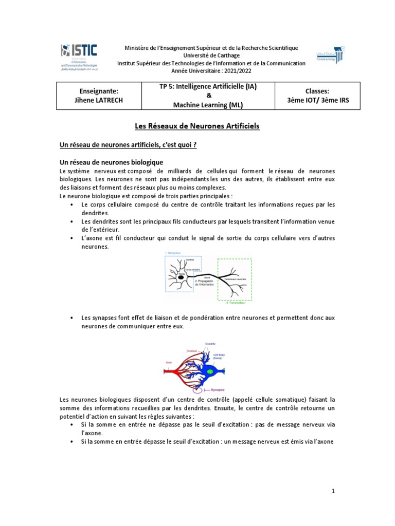Réseaux de Neurones Artificiels en TP | PDF | Système nerveux | Neurone