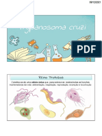 Trypanosoma Cruzi