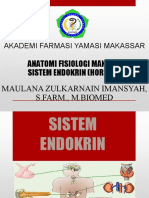 Pertemuan 4 Sistem Endokrin