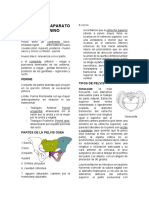 Ginecología Primer Parcial - IMPRIMIR