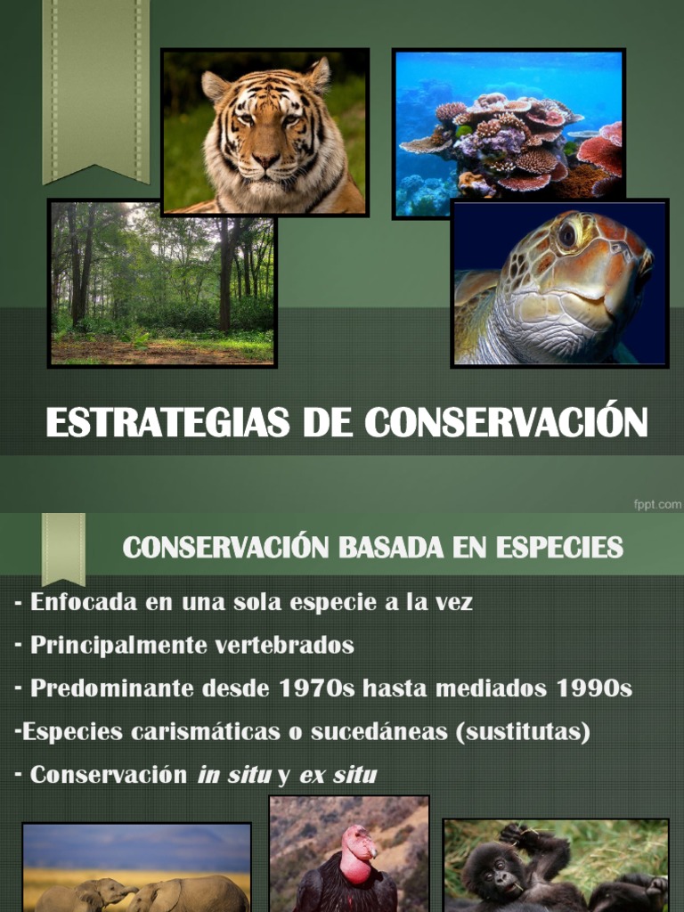 03 - Estrategias de Conservación | PDF | Los bosques | Biodiversidad
