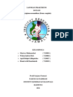 Laporan Praktikum 1 Botani Farmasi