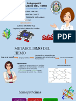 Metabolismo Del Hemo-1