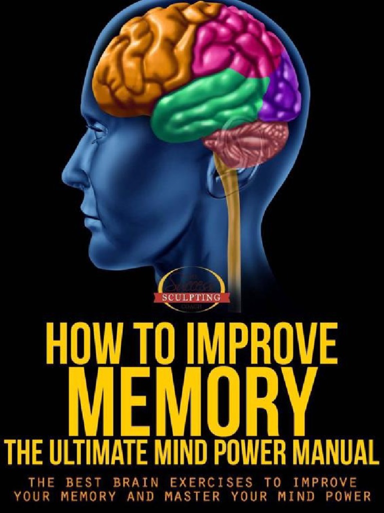 How To Improve Memory - The Ultimate Mind Power Manual - The Best Brain ...