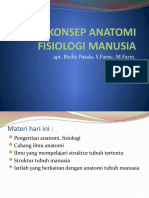 Konsep Anatomi Fisiologi