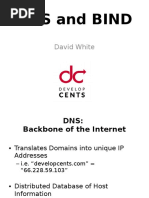 Material de DNS e Bind 