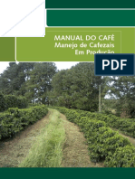 Manejo de Cafezais Em Producao