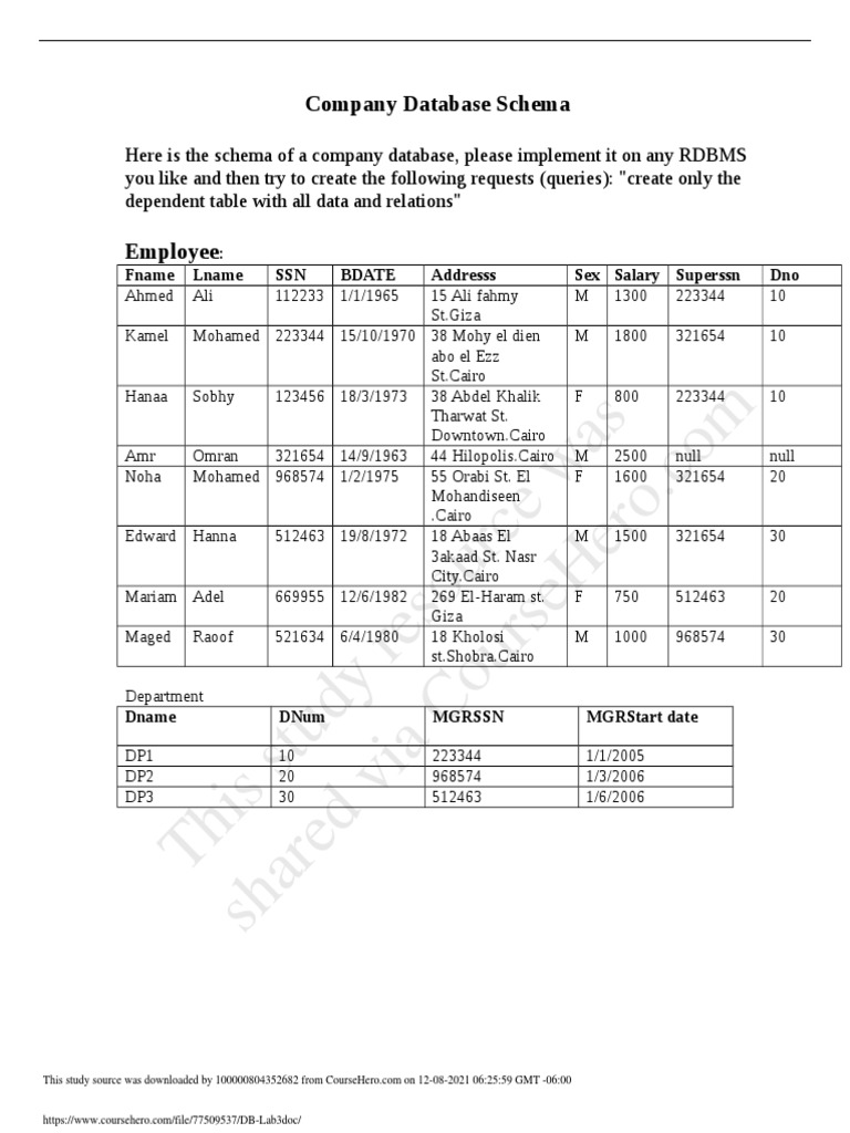 Company Database Schema and Queries | PDF | Computer Data | Scientific ...