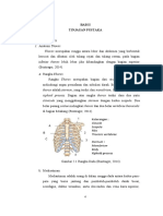 Anatomi Thorax dan Payudara