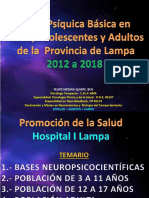 Salud Mental Lampa Puno Perú