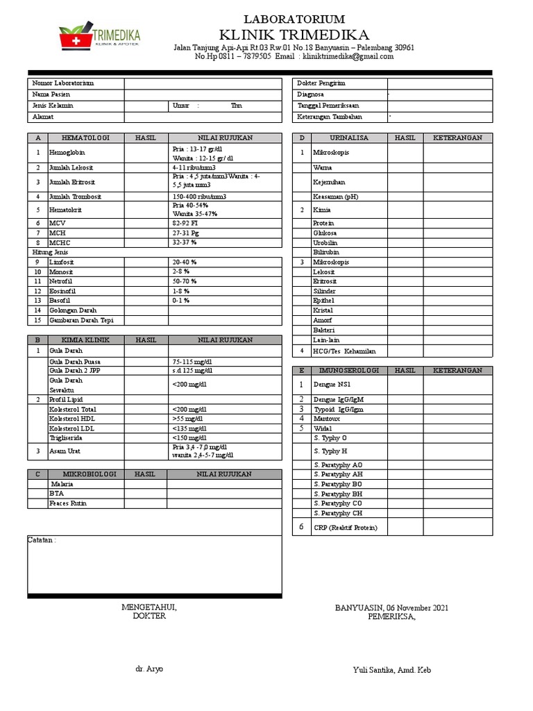 Lembar Pemeriksaan Lab | PDF