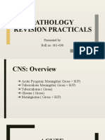 Pathology Revision Practicals: Presented by Roll No. 061-090