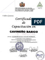 Certificado Cavineño Hermenegilda