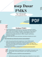 Konsep Dasar PMKS REVISI