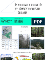Caracterización y Objetivos de Ordenación de Los Bosques Húmedos Tropicales en Colombia