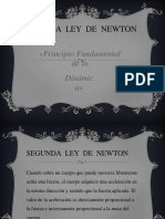 segundaleydenewton