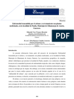 Enfermedad del arlomo y su tratamiento con plantas medicinales