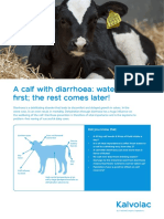 Calf diarrhoea: focus on hydration