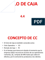 FIN1P4.4 (Ciclo Caja)