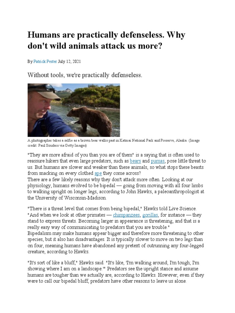 Humans Are Practically Defenseless | PDF | Bipedalism | Human