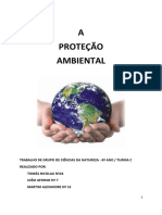 Trabalho A Proteção Ambiente