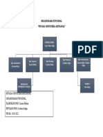 Organigrama Funcional Nevada