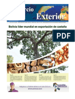 bolivia-lider-exportacion-castana-ce185
