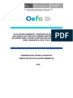 Informe N 313 2019 Oefa Deam Stec