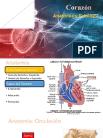 Corazon Anato y Fisio