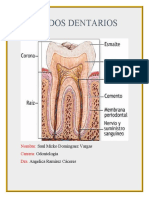 TEJIDOS DENTARIOS